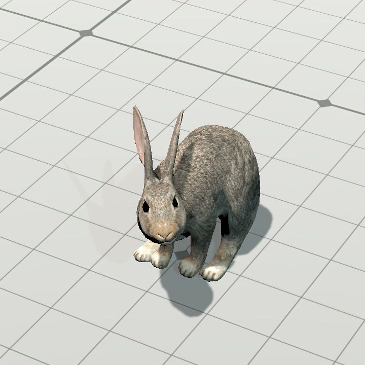 Rabbit