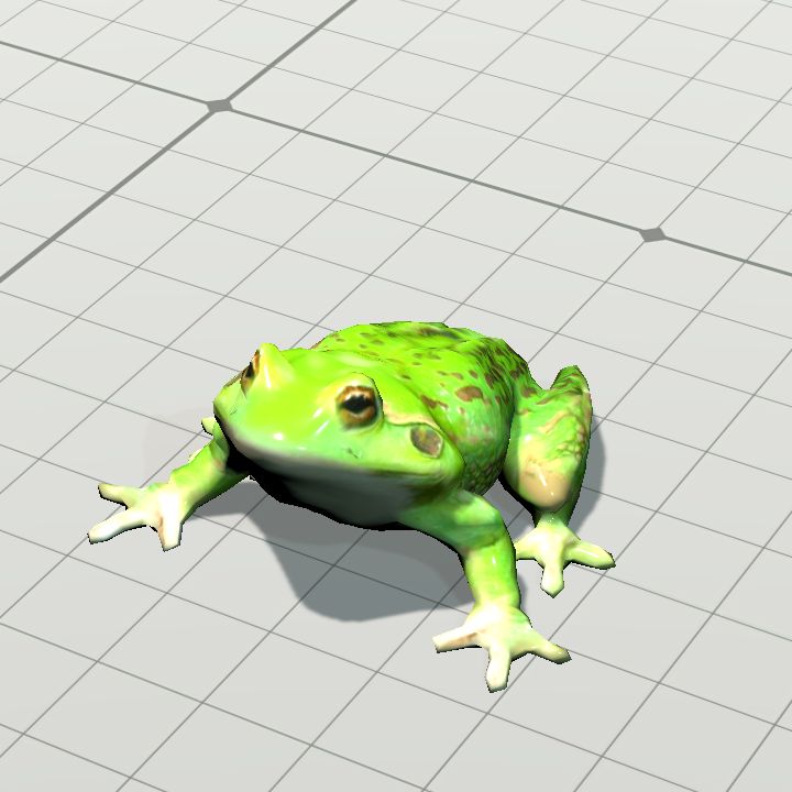 Frog