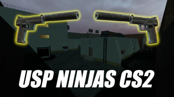 usp ninjas cs2 port – Counter-Strike 2 Mod