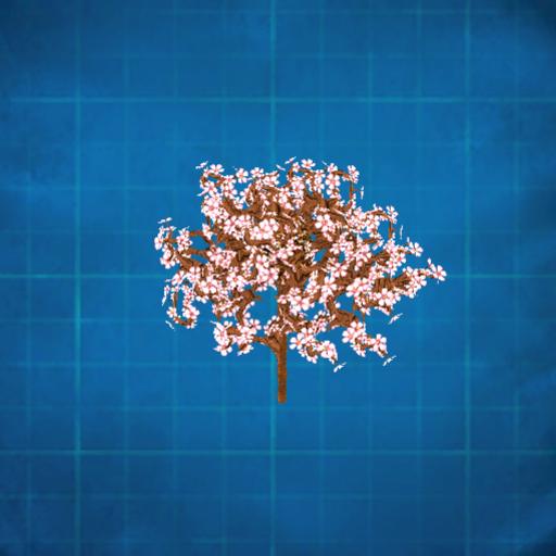 cherry blossom tree