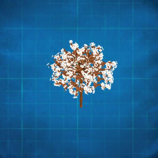 white cherry blossom tree