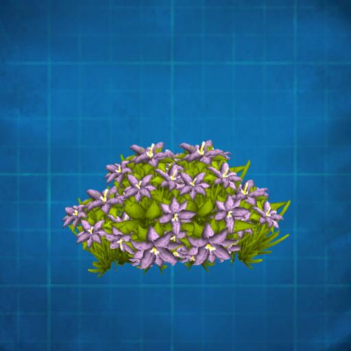 flower bush