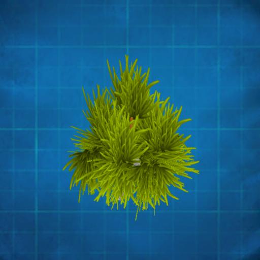 small fine tree