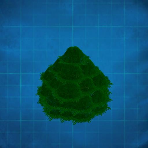fine tree