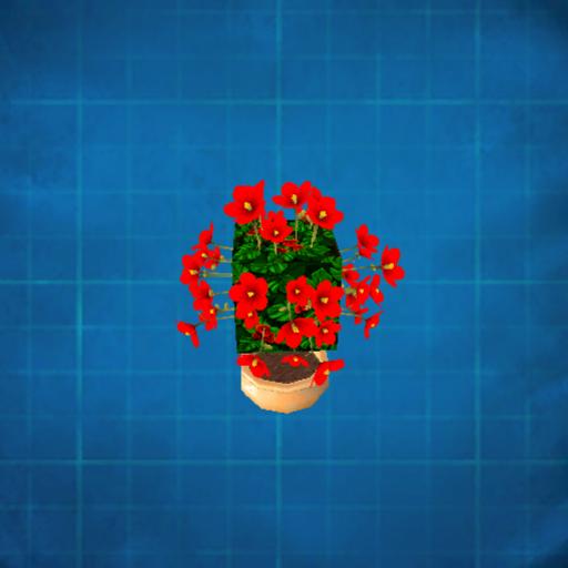 flower plant