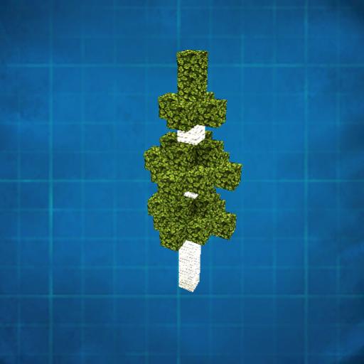 birch tree