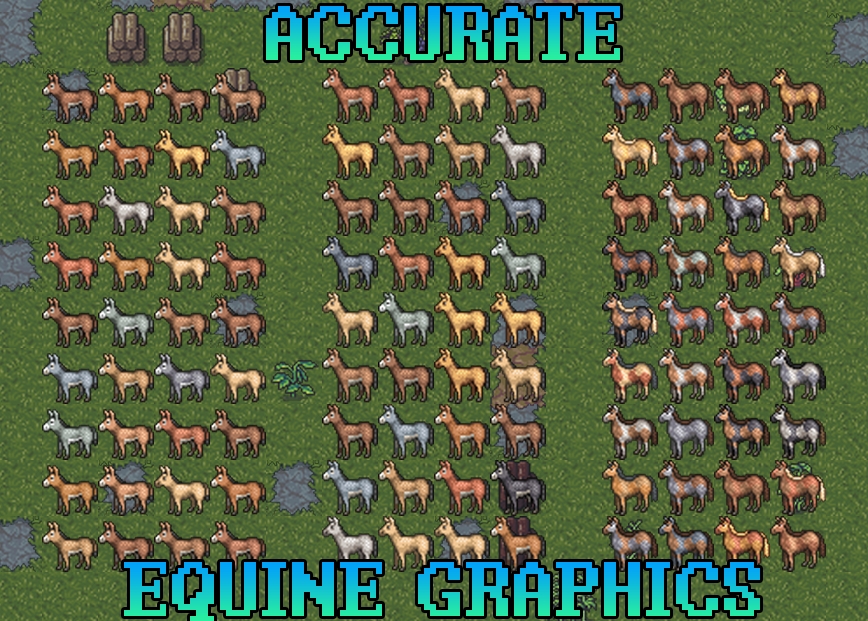 Accurate Equine Graphics