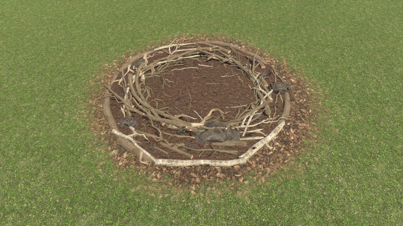 Dinosaur nest 1 / Nido de dinosaurio 1