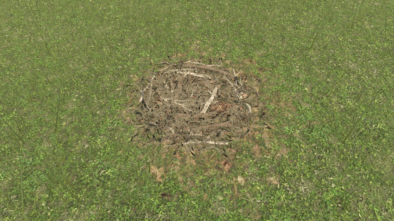 Dinosaur nest 7 / Nido de dinosaurio 7