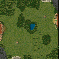 Forest_Battle_1v1_MP preview