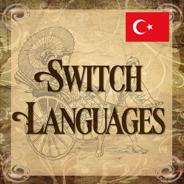 Switch Language TR to EN