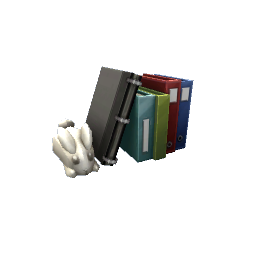 TS4 Books with bunny - white