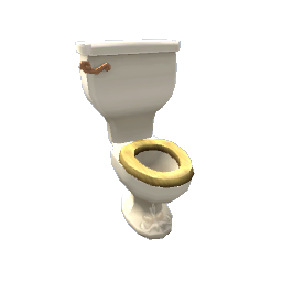 TS4 Toilet with a wooden seat - light wood