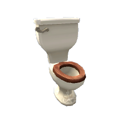 TS4 Toilet with a wooden seat - red wood