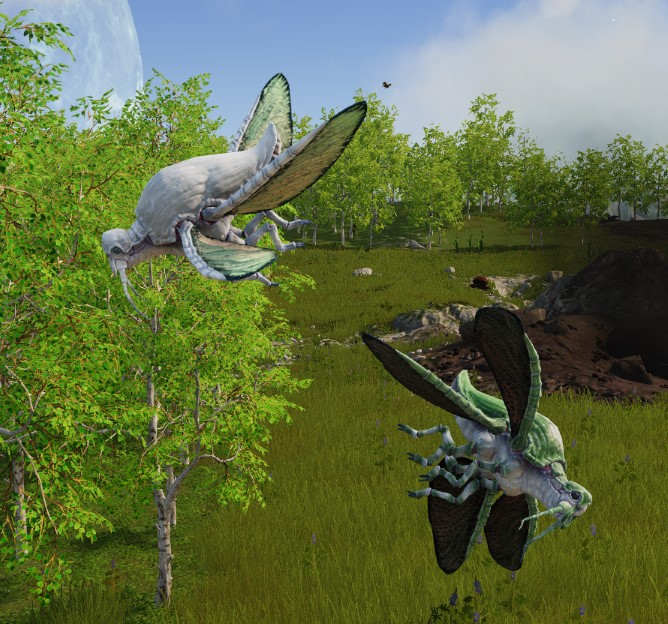 Tamable DragonFly