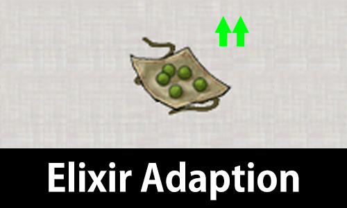 Elixir Adaption