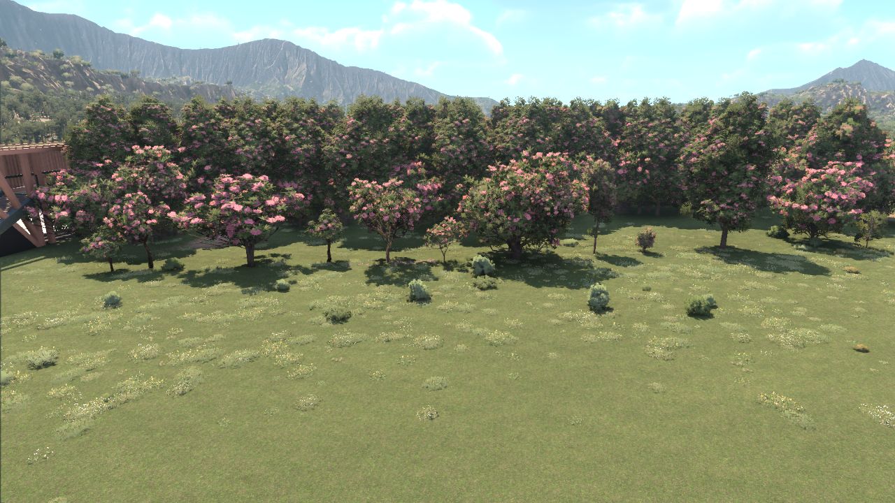 Bolossum Tree Set