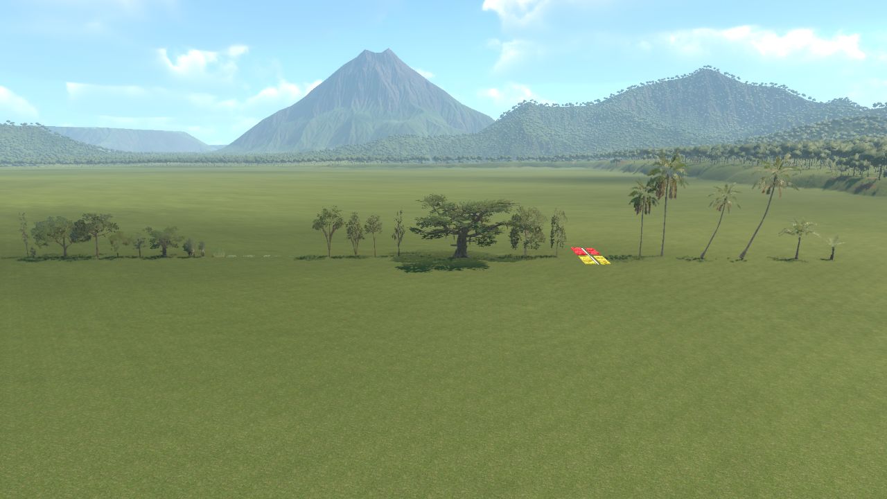 Tropical Rainforest Trees.