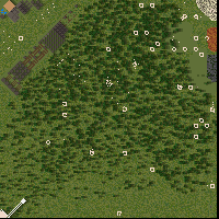 Max Limit