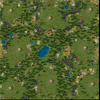 Swedish Forest
