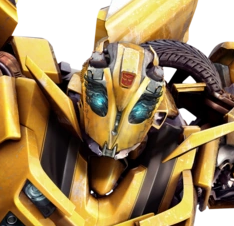 Bumblebee InfectionHUD Portrait - Rochelle
