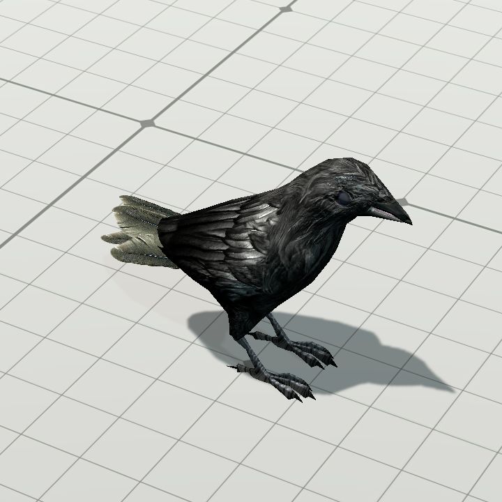 Crow {Animated}