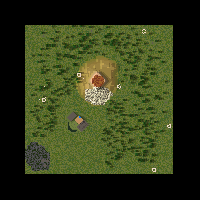 Survive against the wolf