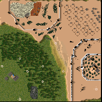 Invade the Wolf