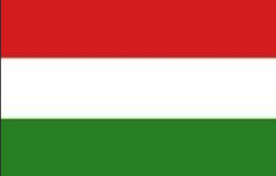 Hungarian footballers playing in the first division abroad.