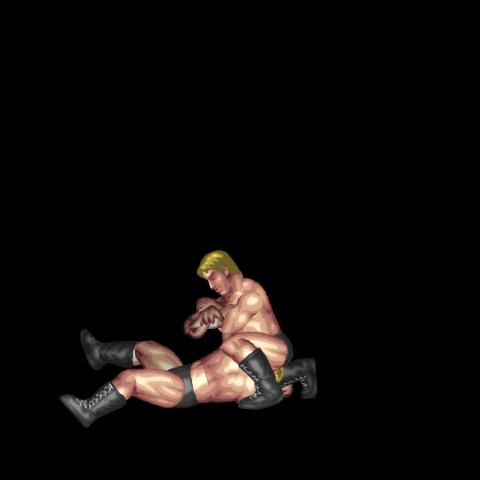 Double Wristlock (Maintain Mount)