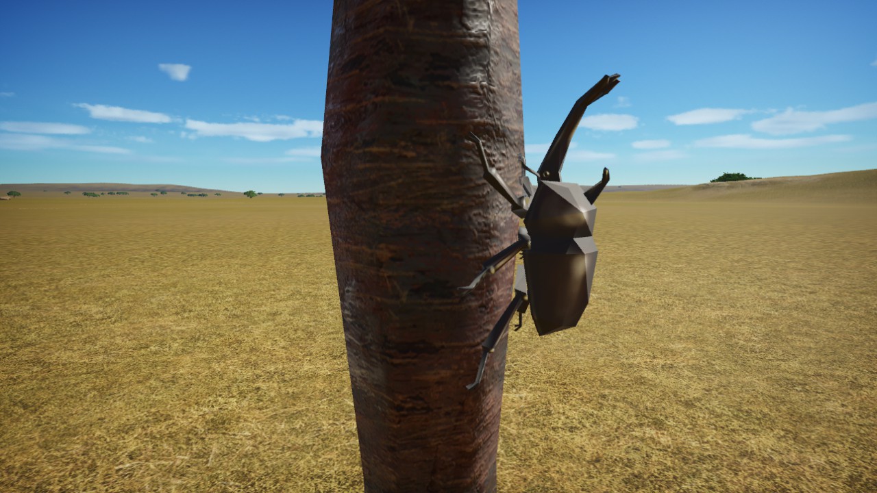 Beetle