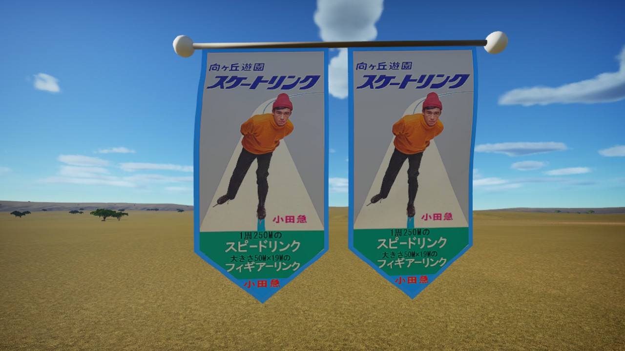 Skating Rink Flag Animated