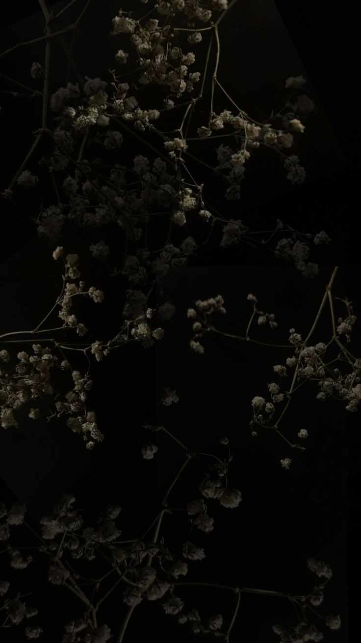 Dark lines