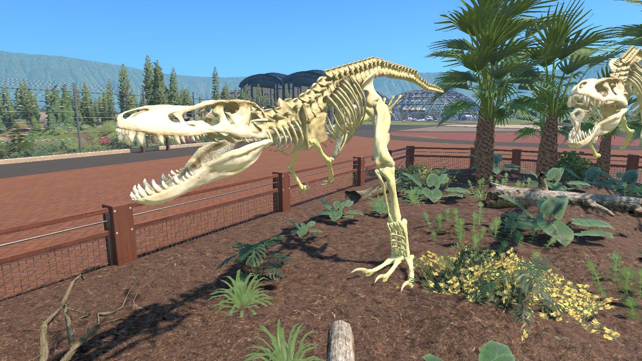 Young T rex skeleton