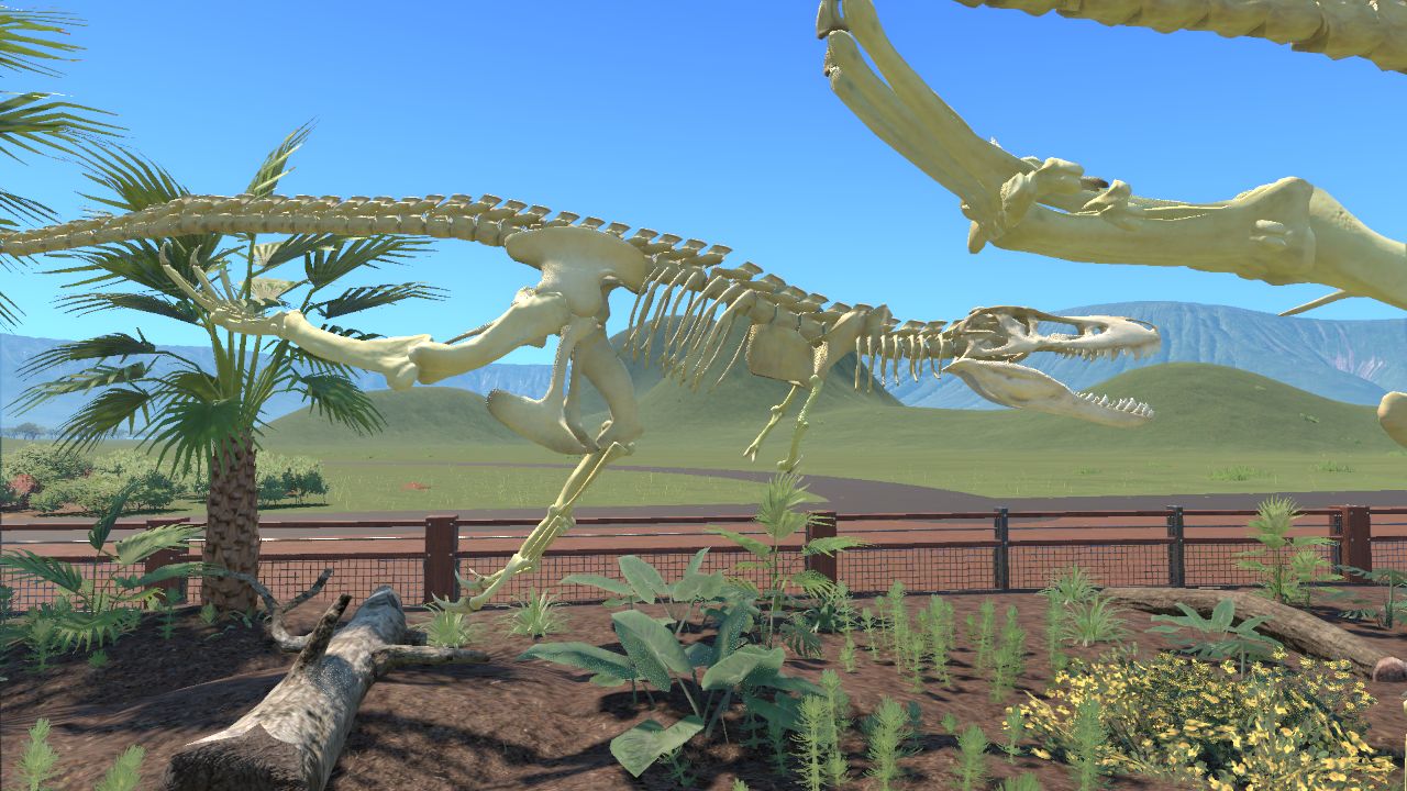 young teen t rex skeleton