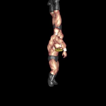 Reverse Brainbuster Face Slam