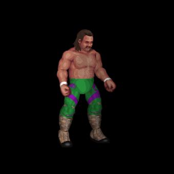 Jake Roberts