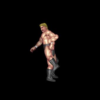 Inverted Elevated Hammerlock