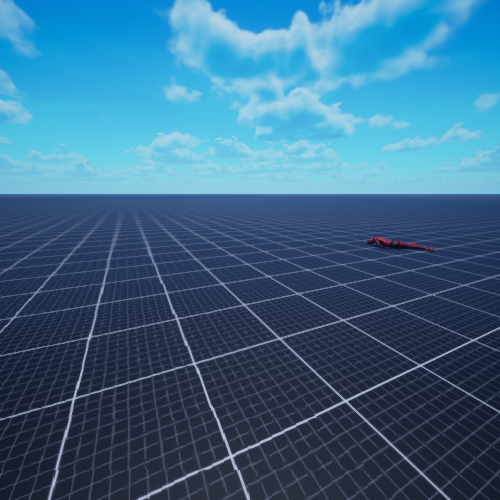 new map
