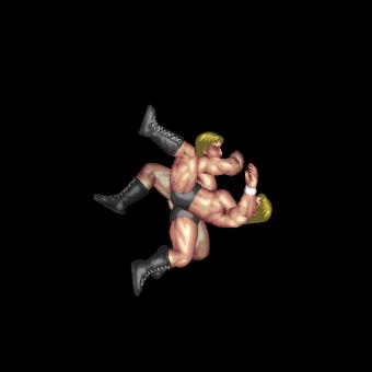 Vicious Head Pickup Lariat