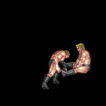 Rolling Wheel Senton