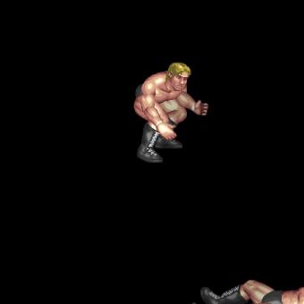 Frog Splash or Moonsault