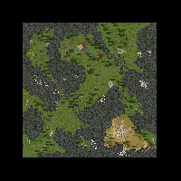Into the Swamp 4-12