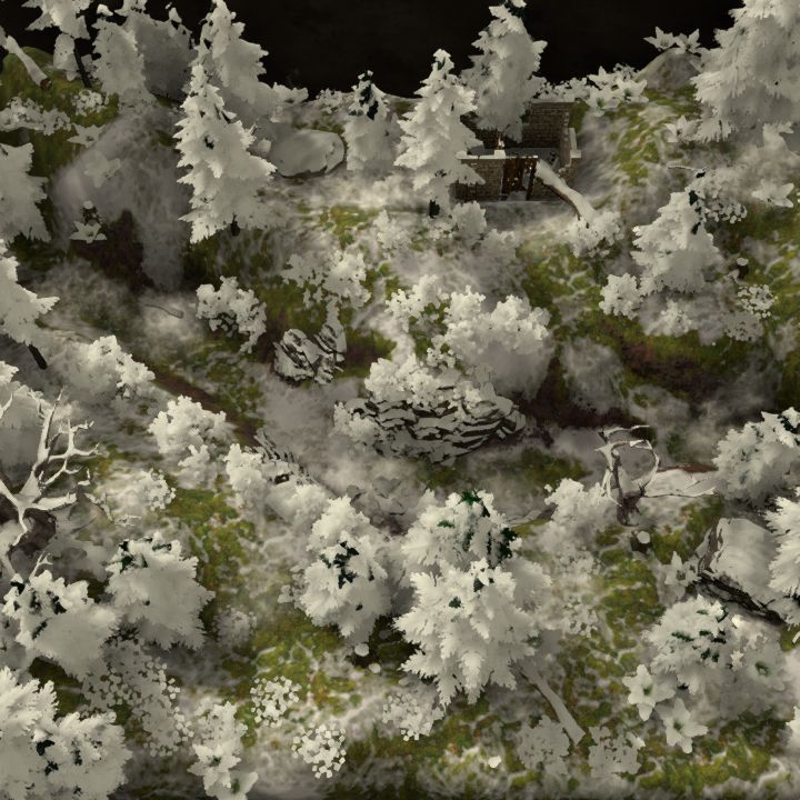 Hollow way (track) through snowy forest