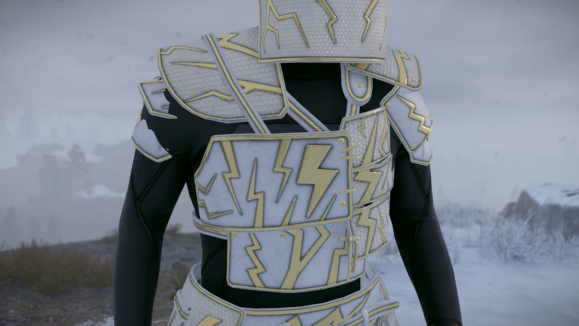 Thundergold Roadsign Vest