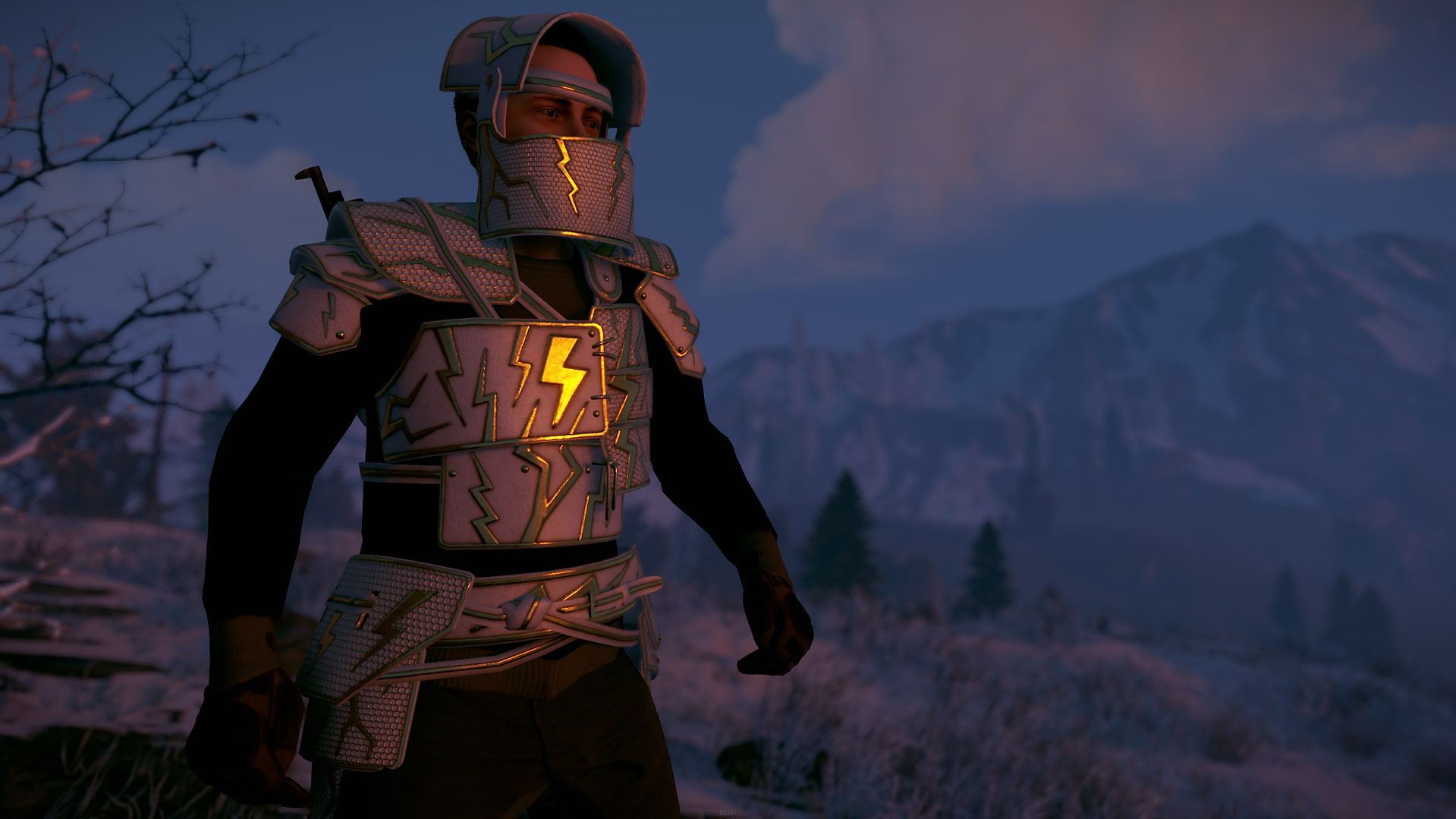 Thundergold Roadsign Vest