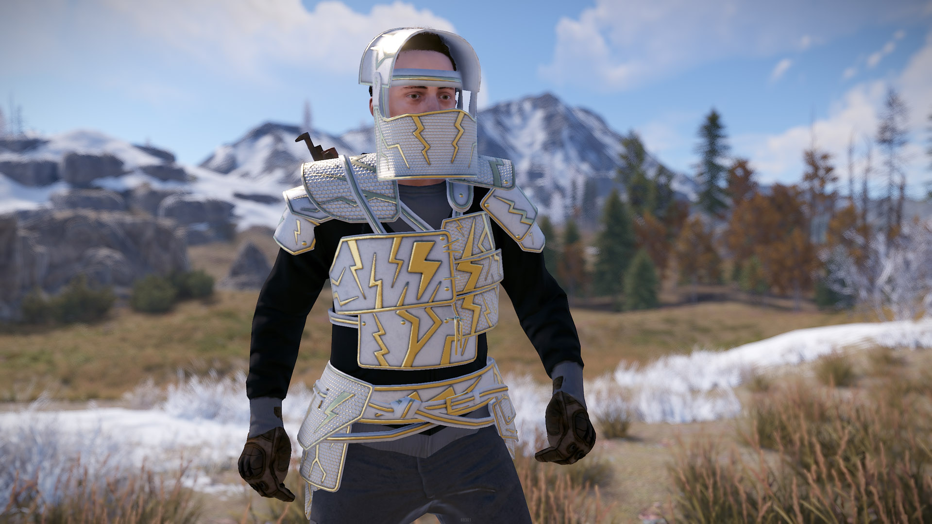 Thundergold Roadsign Vest