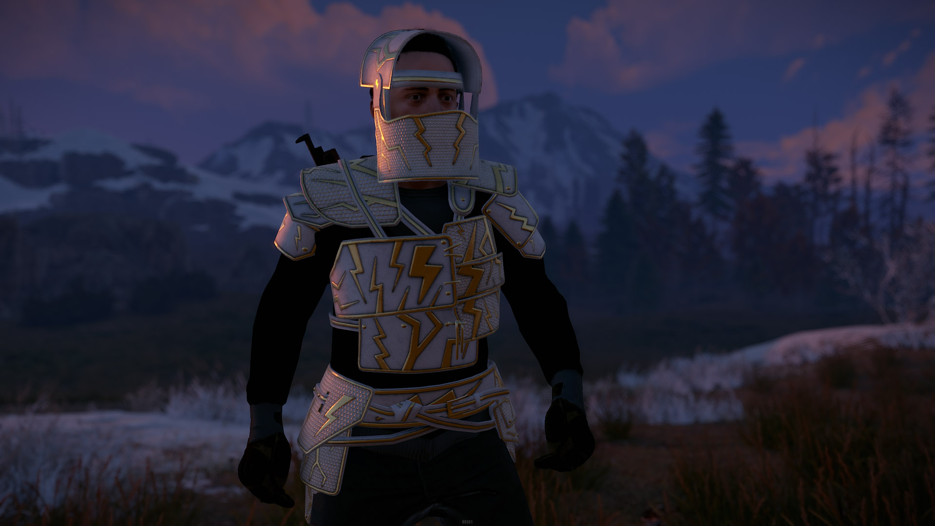 Thundergold Roadsign Vest