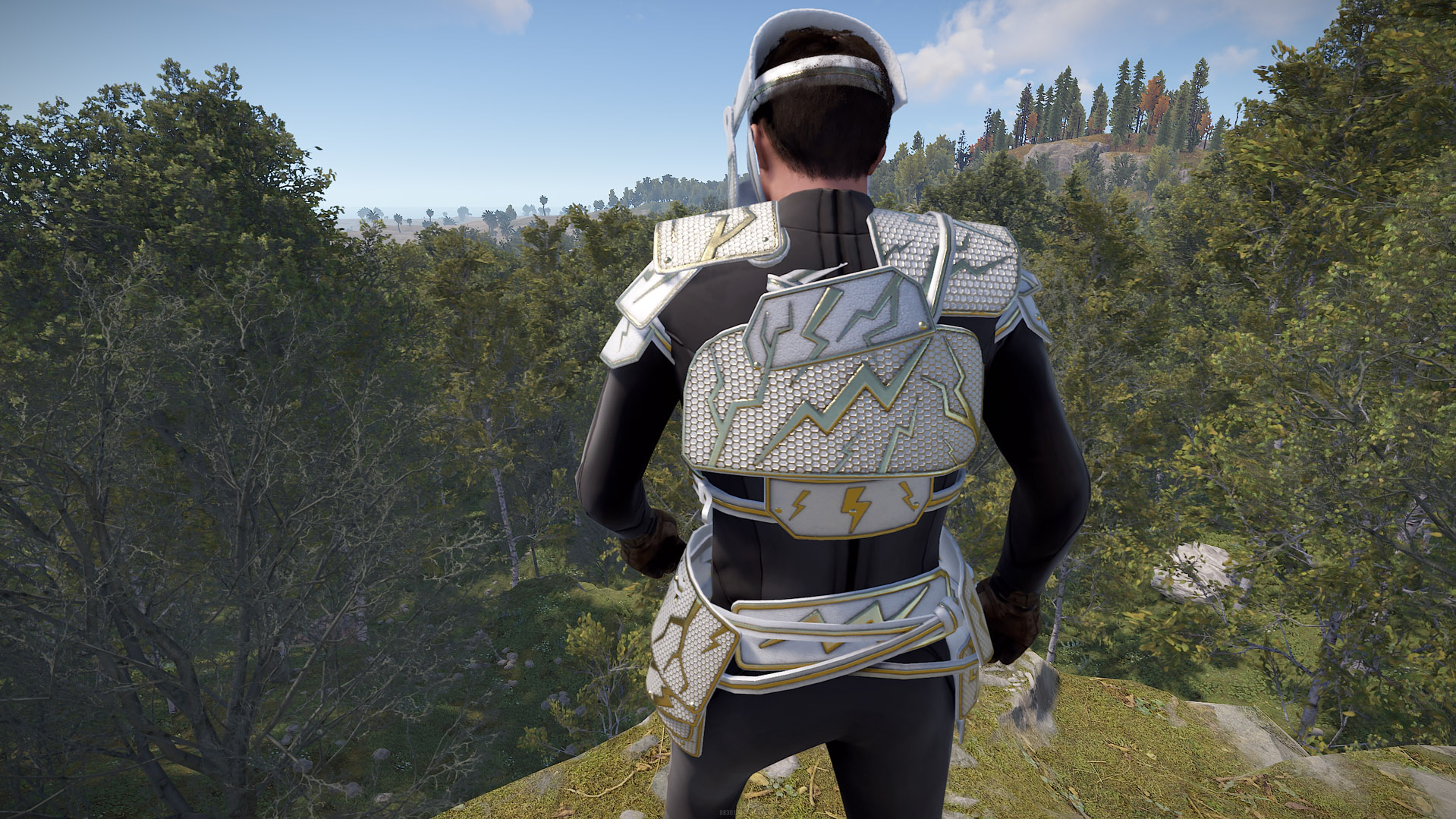Thundergold Roadsign Vest