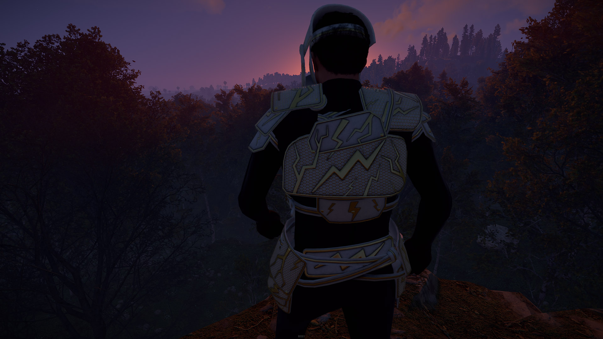 Thundergold Roadsign Vest